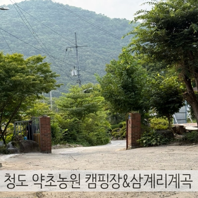 청도 약초농원캠핑장 B6 ,B7 사이트 삼계리계곡 이용후기...