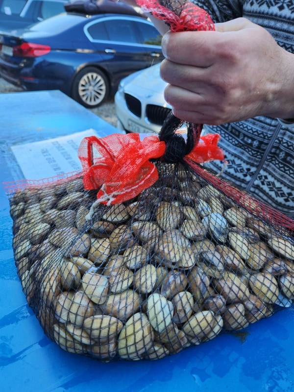 태안노을숲캠핑장-오션뷰,노을맛집,갯벌체험가능...