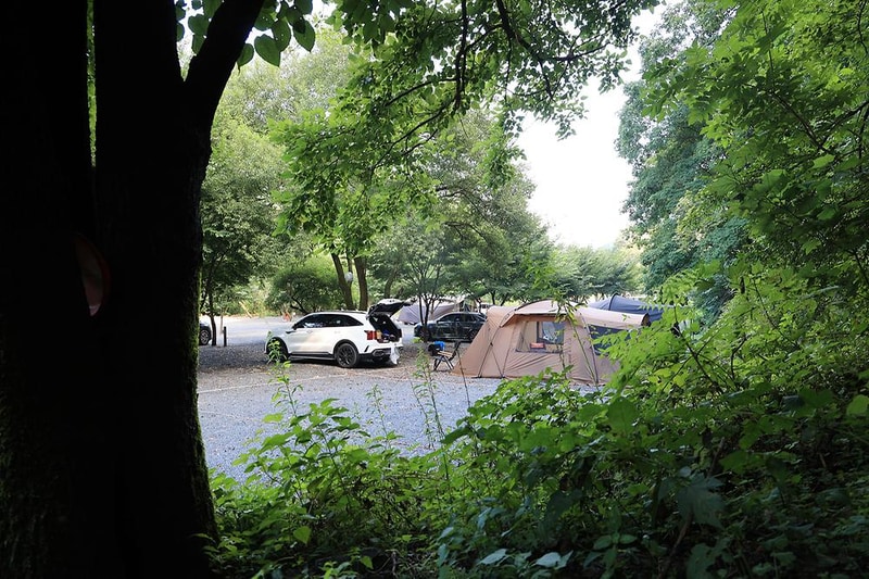 담터 금학캠핑장 시설 사진 12