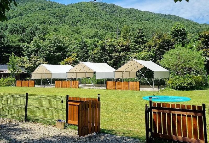 민트초코캠핑장 시설 사진 16