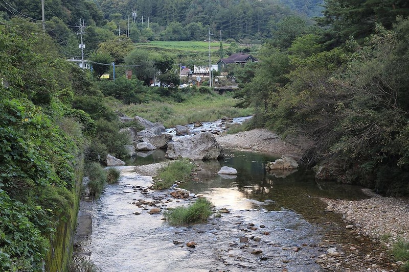 영월아트앤캠프장 시설 사진 2