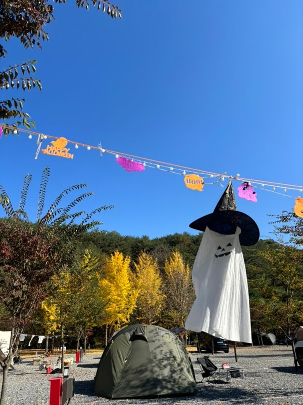 [영월] 블루밍캠프 캠핑장 1박2일