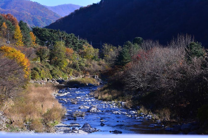 하이캠핑장 시설 사진 11