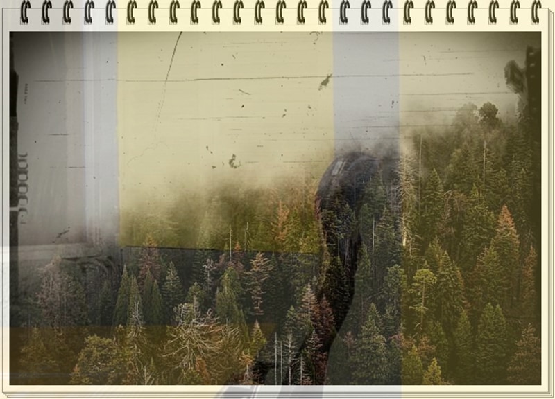 충북 제천시 주말 덕동산상낙원캠핑장