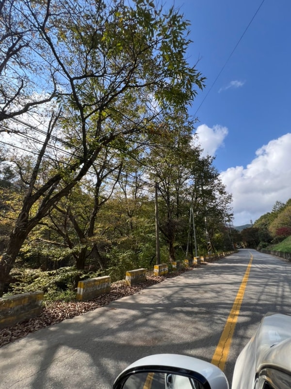 [충북 제천] 가을 단풍캠핑 : 십자봉오토캠핑장