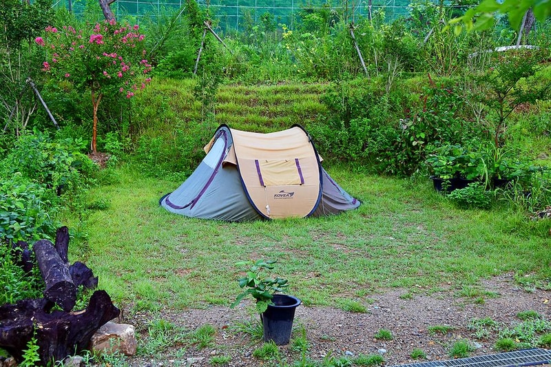 워렉스 캠핑랜드 시설 사진 22