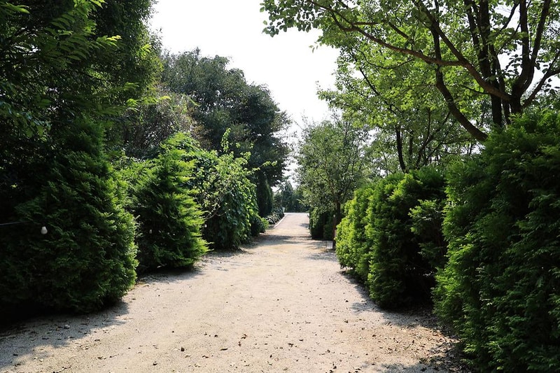 파이브이모션관광농원 시설 사진 9