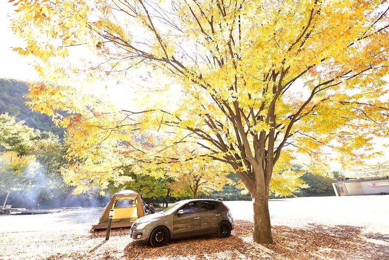 산장관광지 시설 사진 7