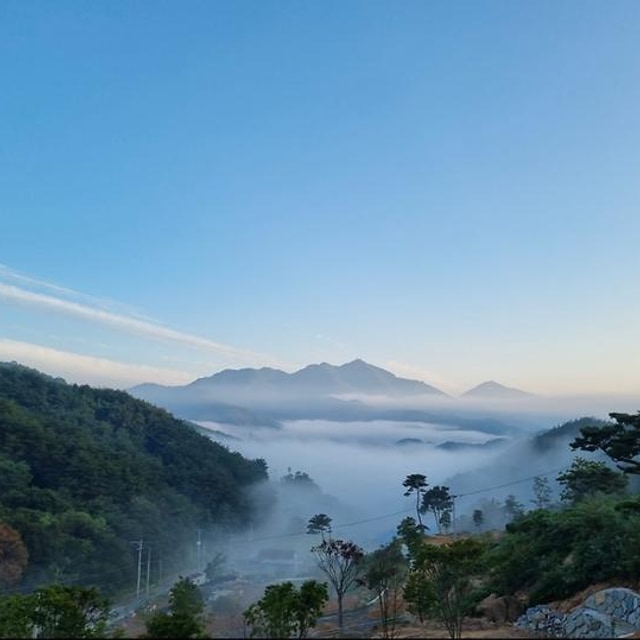 오도산 관광농원