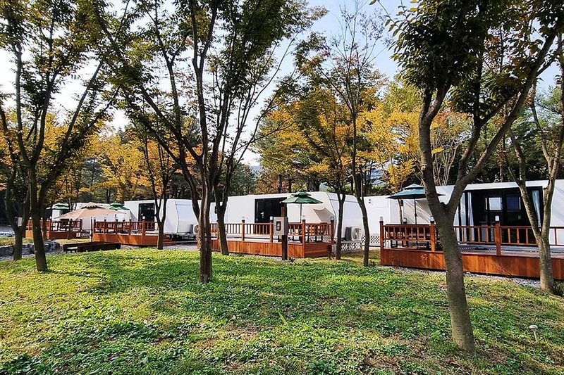 수원 솔내음 캠핑장 시설 사진 3