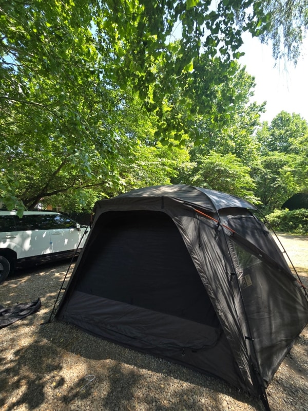 #12 연천평화강변수목캠핑장 | 몬테라 마스돔 개시