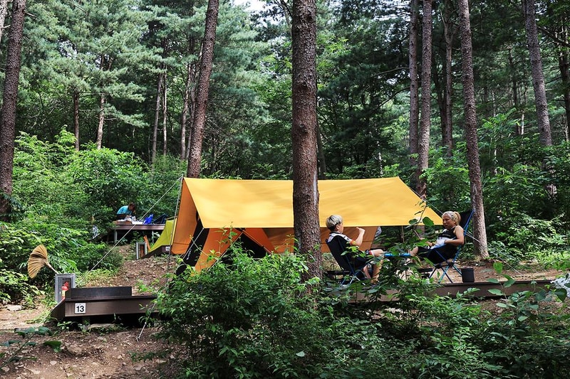 호명산잣나무숲속캠핑장 시설 사진 19