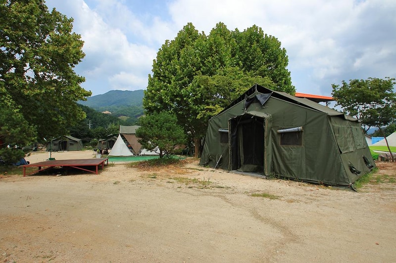 Camp 1950 시설 사진 13