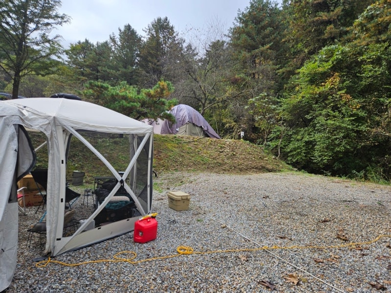 49th Camping. 양평숲 비룡캠핑장