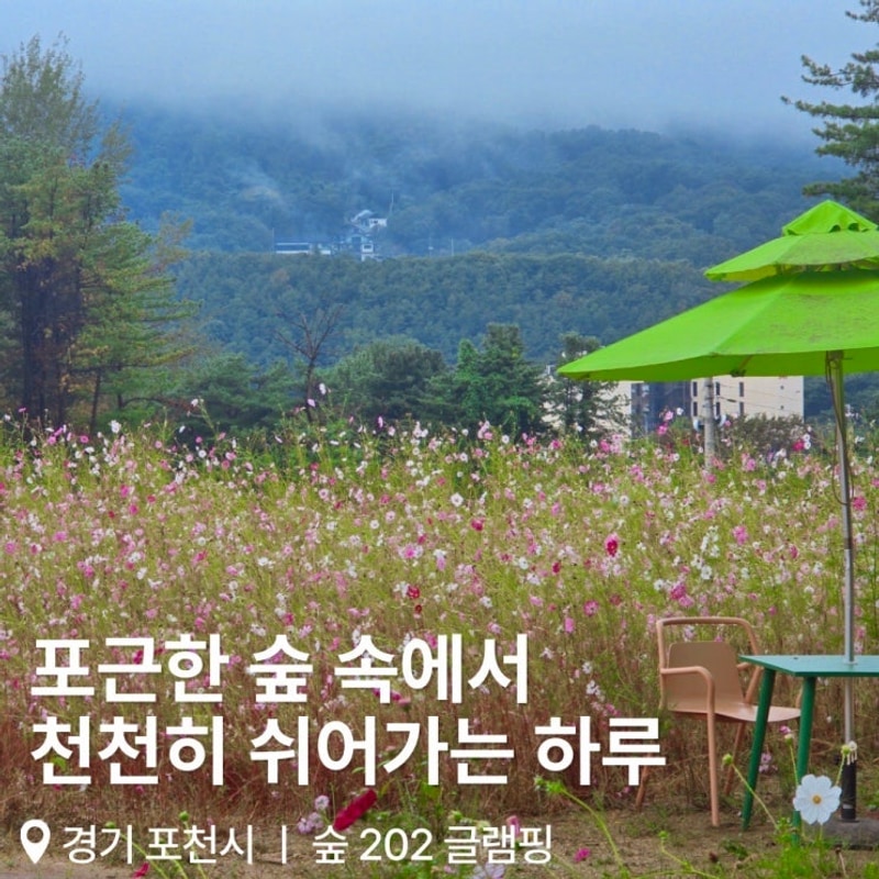 포천 가족여행 추천 숲202 글램핑장에서 보낸 따뜻한 하루