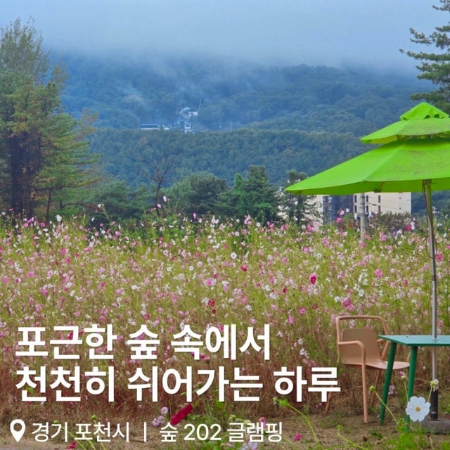 숲202글램핑 대표 사진