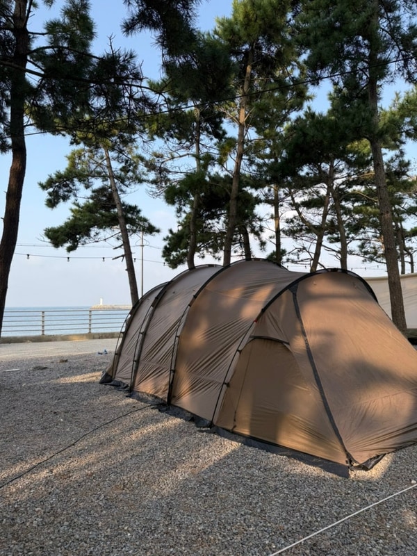 아이 그리고 강아지까지 힐링가능한 태안 어은돌 오토캠핑장