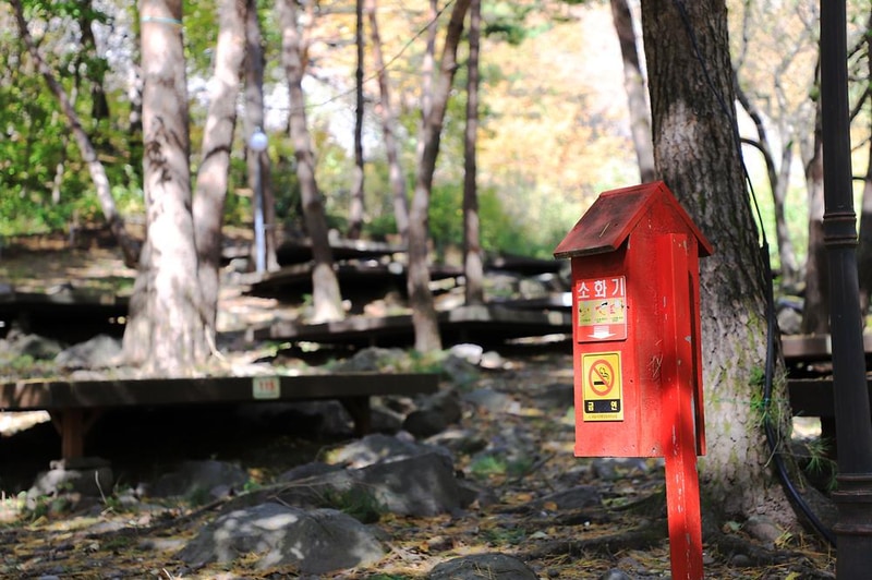 국립두타산자연휴양림 시설 사진 8