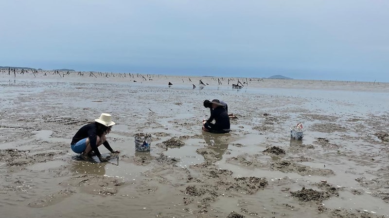 별빛갯벌캠핑장 시설 사진 2