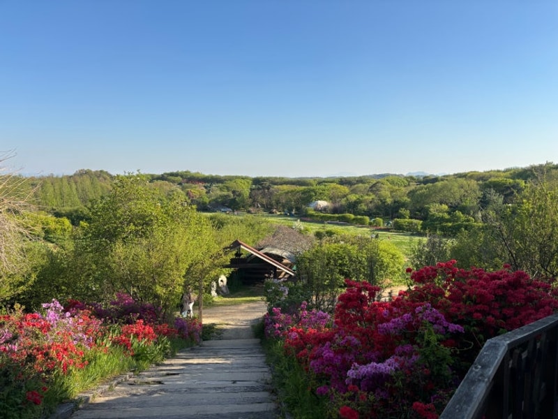 2025캠핑#1_ 태신아그로랜드캠핑장