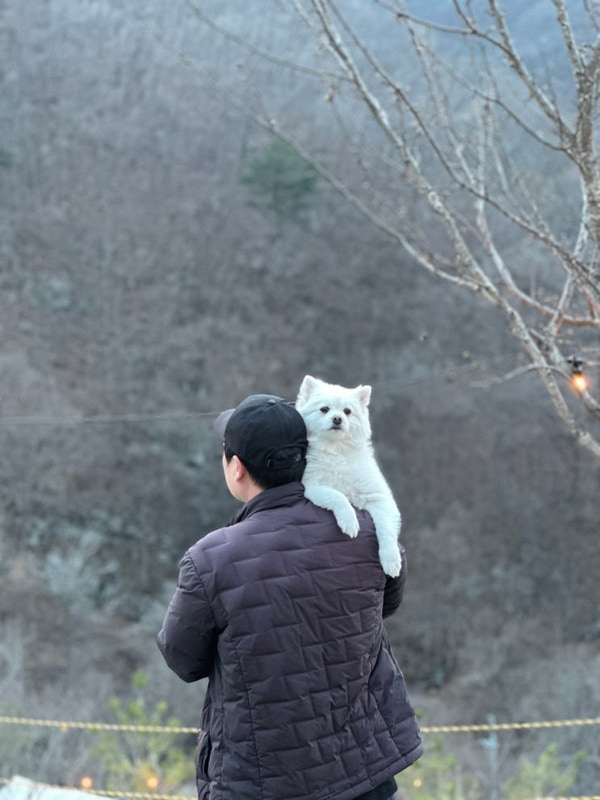 [강원/홍천] 오도치 캠핑장/반려동물 동반가능(C9사이트)