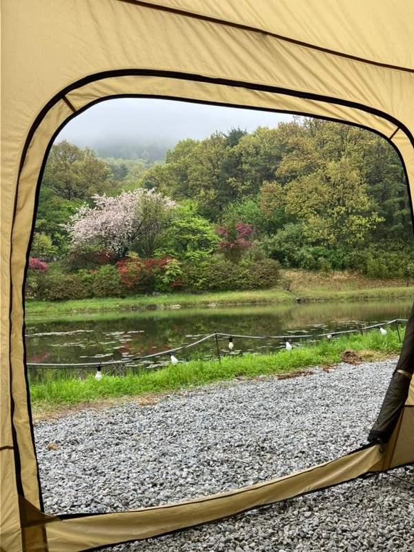 서울 근교 연못뷰 커플 캠핑 | 우니메이카 강화 캠핑장 후기