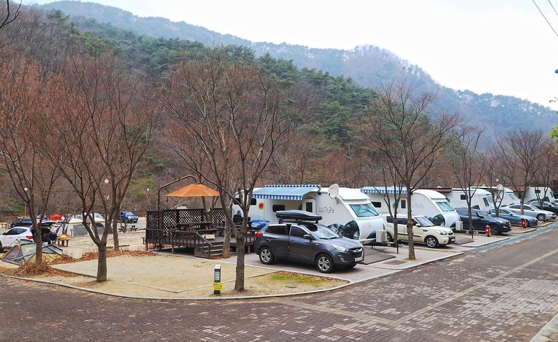 구룡자동차야영장(치악산국립공원) 시설 사진 7