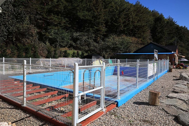 마의태자캠핑장 시설 사진 28