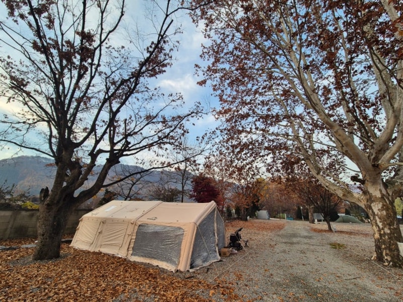 가만히있어도 힐링이 되는 곳 #음성솔부엉이캠핑장