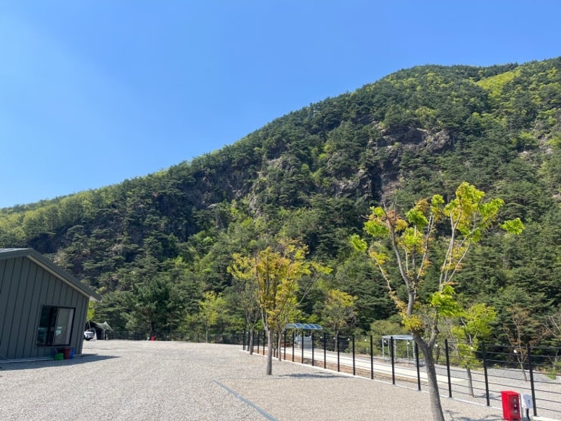 25년도 첫 번째 캠핑_괴산 후영캠핑장