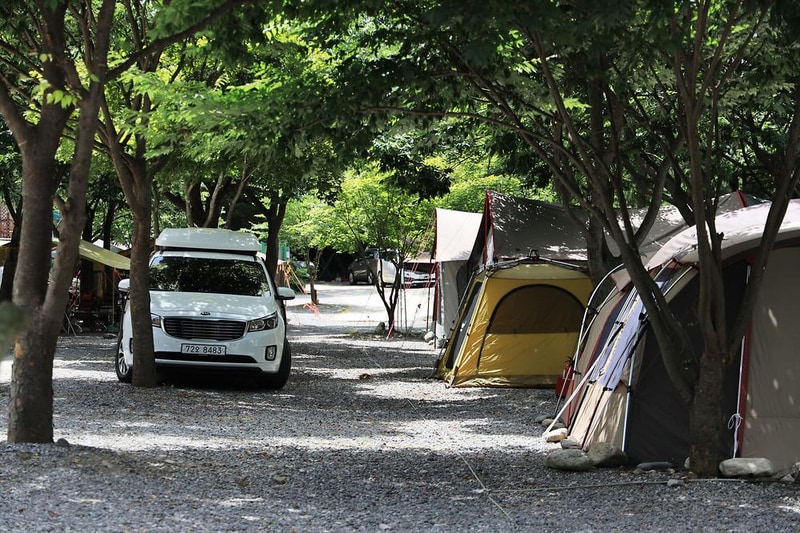 맑은물소리캠핑장 시설 사진 5