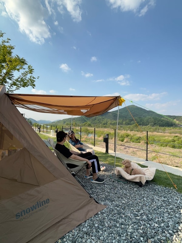 [충주 캠프202] 애견동반 캠핑장 2박 3일 후기 ⛺