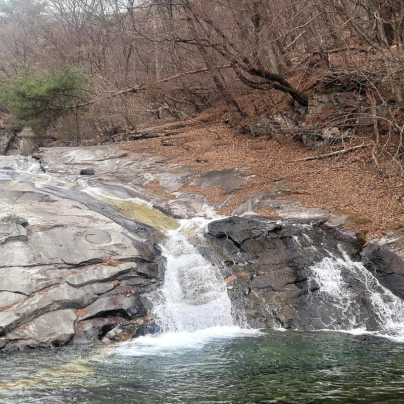 포레 앙비떼 시설 사진 12