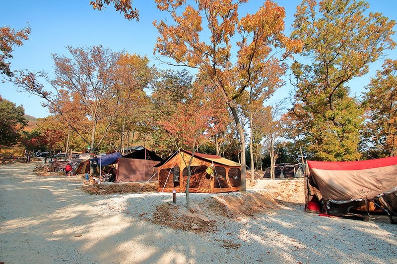 낭만에코파크 시설 사진 7