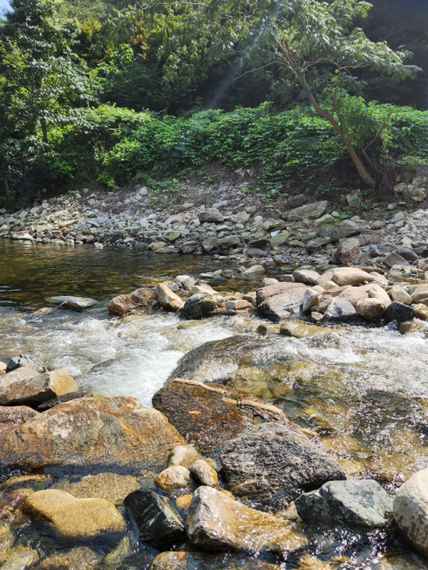 [장수방화동캠핑장] 전북 장수 1박 2일 계곡캠핑