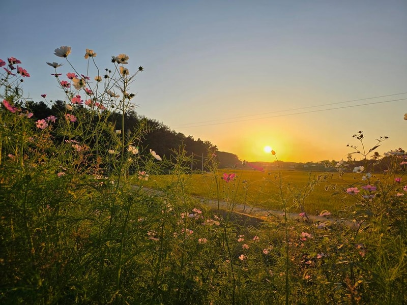 달산 글램핑 시설 사진 9