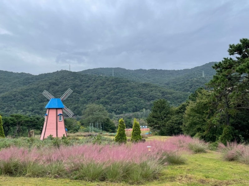 부산 근교 김해 가야달빛야영장 첫 방문 후기 (캠린이 시점...
