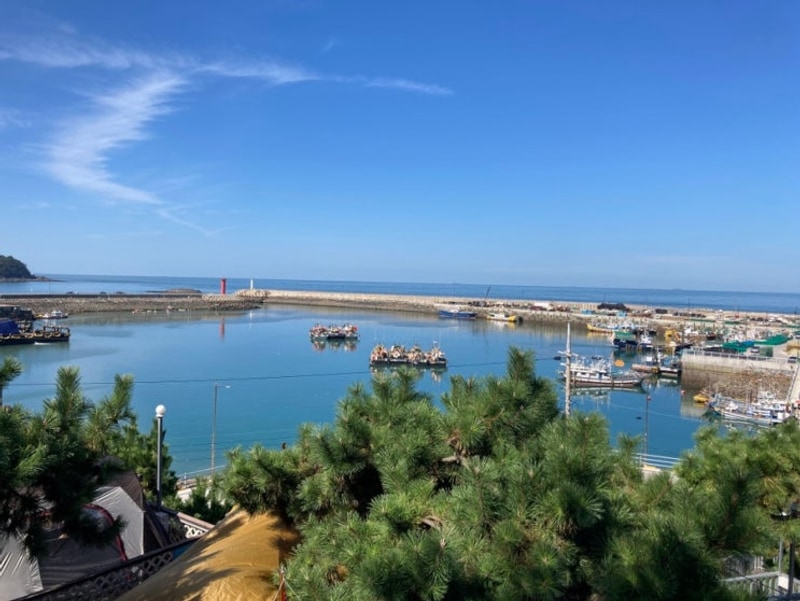 송도오토캠핑장 후기(+아이와함께+가을캠핑+낚시+뷰맛집+태안)