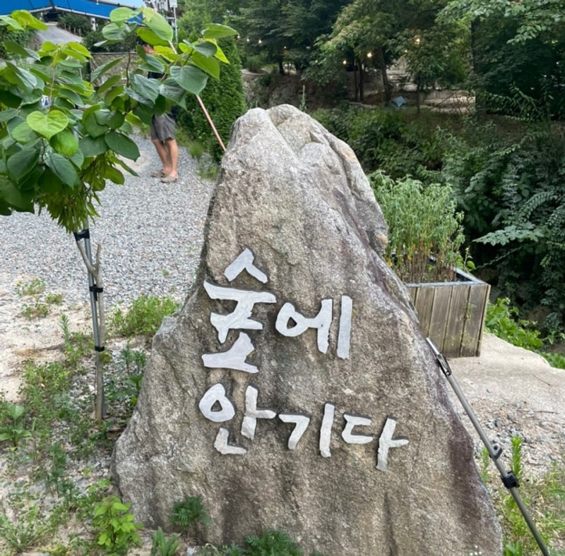 숲에안기다/고령캠핑장/아이랑캠핑