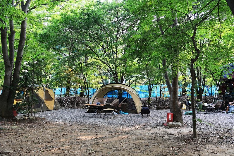 태양힐링숲 시설 사진 18