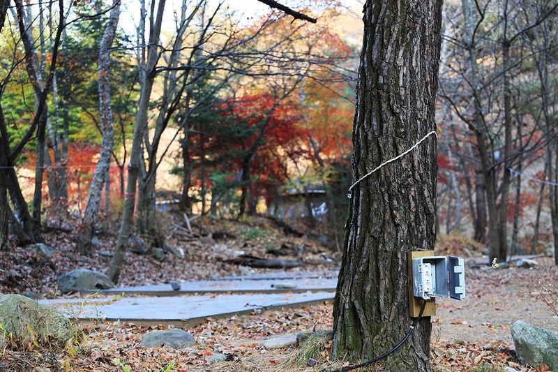 북극곰 야영장 시설 사진 8