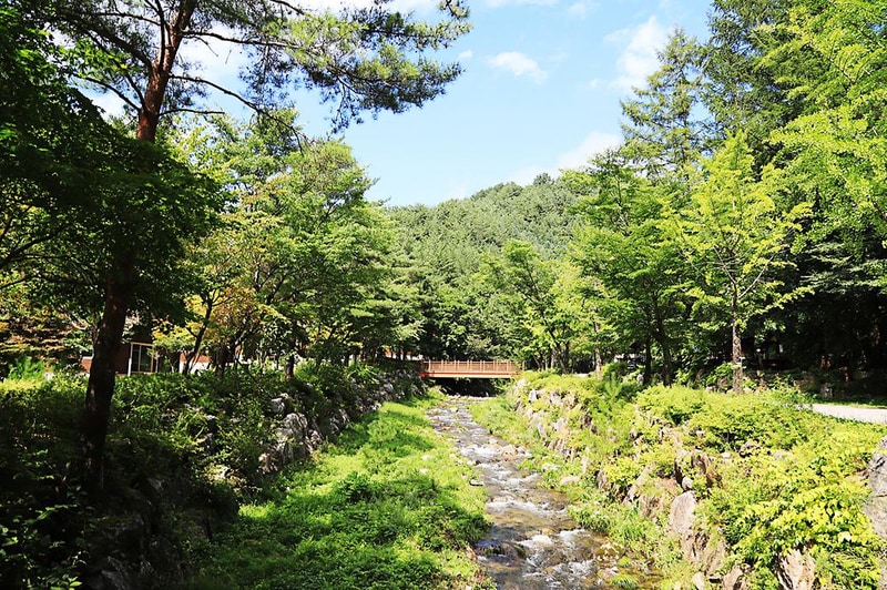 태백고원자연휴양림 야영장 시설 사진 13
