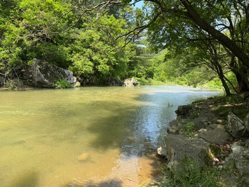가평 애견동반캠핑장... 조용한 관리 잘 되는  '캠핑소리 251'