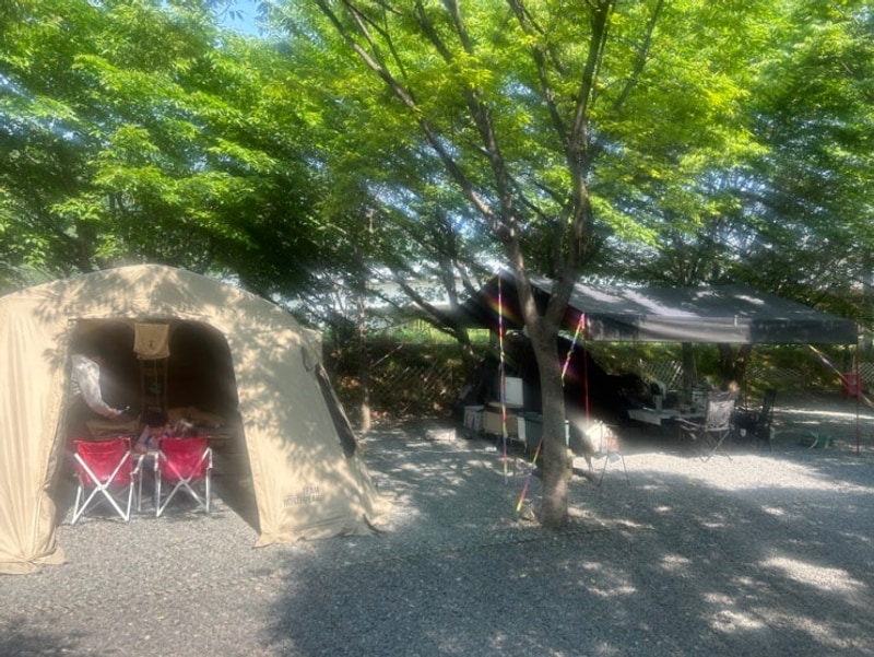 대구 근교 경북 아이랑 가기 좋은 캠핑장 밀양 캠핑돗가비