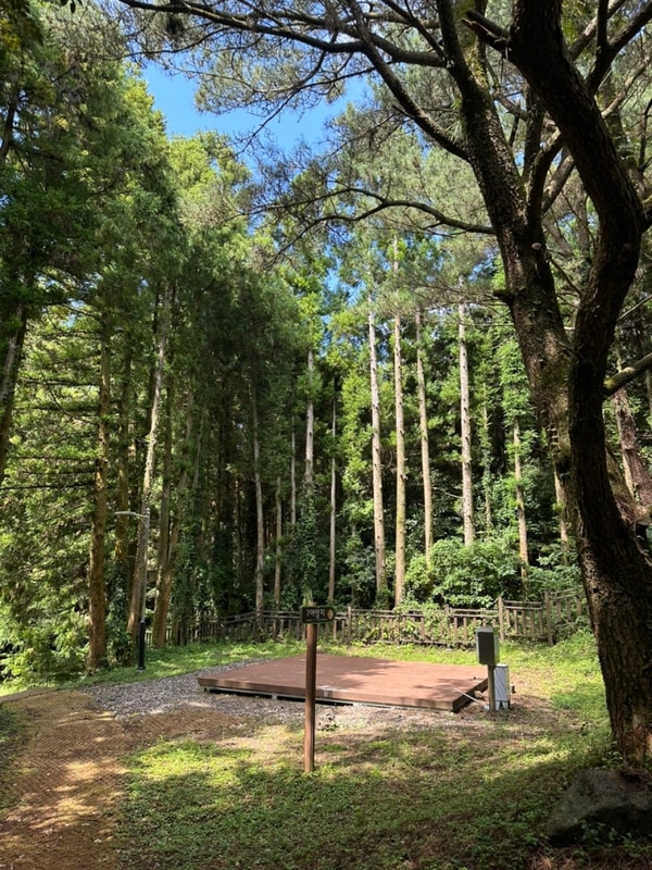 제주도 서귀포 도민들만 아는 캠핑 명소 돈내코야영장 데크 명당
