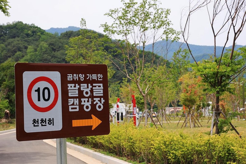 곰취향 가득한 팔랑골 캠핑장 시설 사진 12