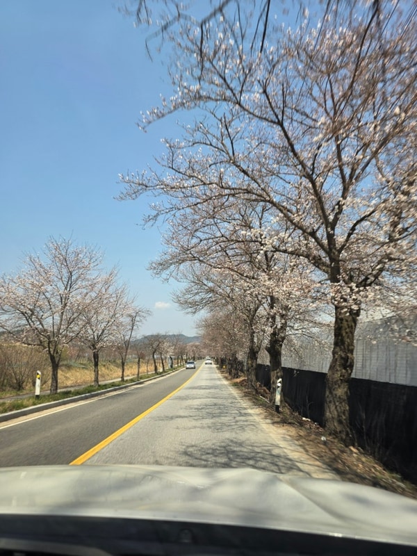 봄캠핑 추천! 가성비 추천! 옥천 474오토캠핑장