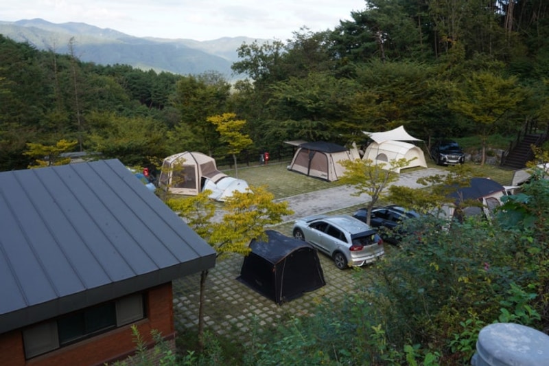 감이 익어가는 날에 청도자연휴양림 야영장