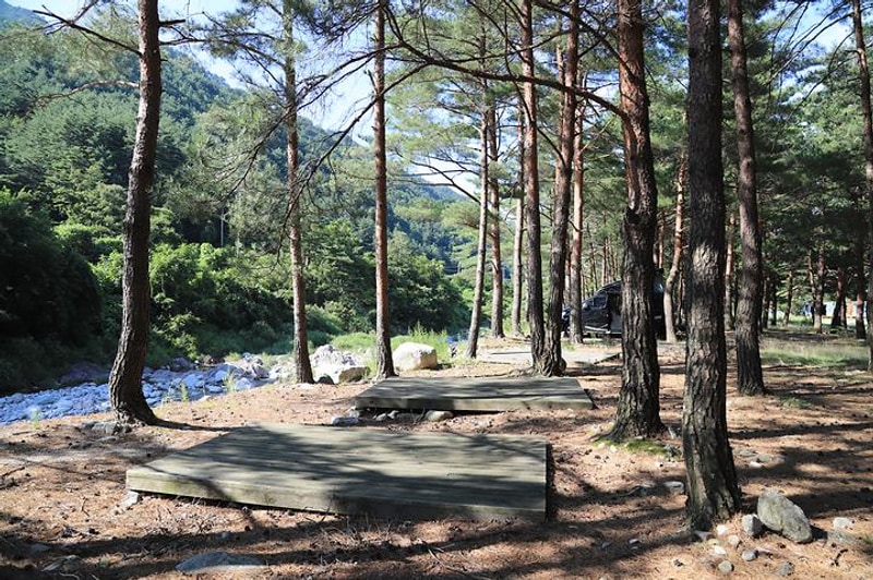 솔바람야영장 대표 사진