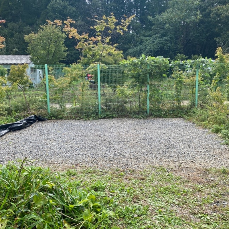 의왕 서현농원 야영장